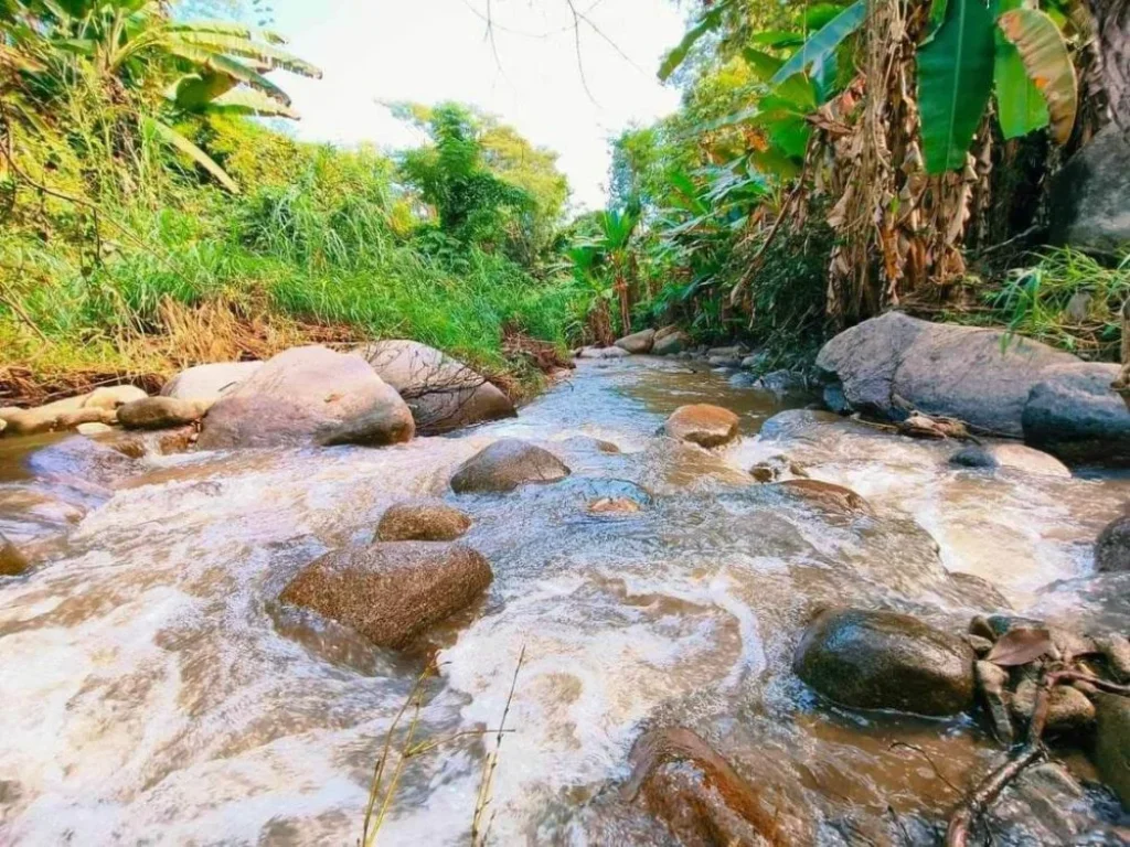 ขายบ้านพักตากอากาศเชียงดาวติดลำธารน้ำโฉนดพร้อมโอน