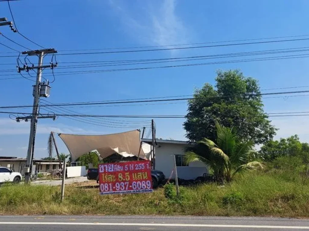 ขายที่ดินแปลงสวย คลอง 15 ถนนลำลูกกา องครักษ์ นครนายก