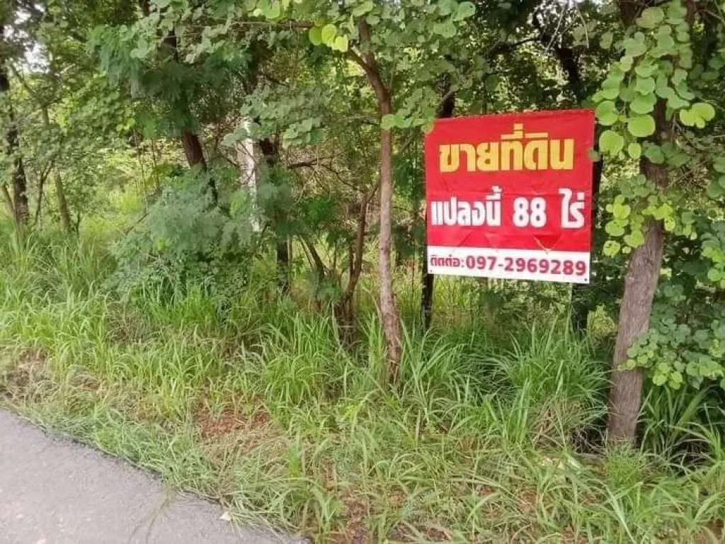 ขายที่ดิน 88ไร่ บ้านห้วยไร่ เขตอคอนสวรรค์ จชัยภูมิ