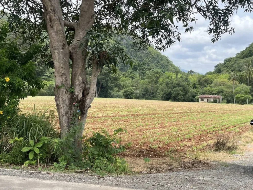 ขายที่ดินเขาใหญ่ ติดน้ำลำตะคอง หมูสี ท่าช้าง ใกล้ธนะรัชต์ 21