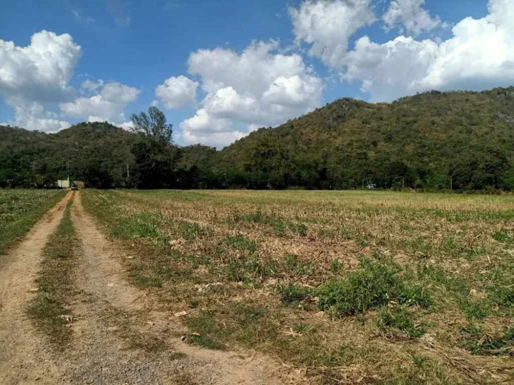 ขายที่ดินเขาใหญ่ ติดน้ำลำตะคอง หมูสี ท่าช้าง ใกล้ธนะรัชต์ 21