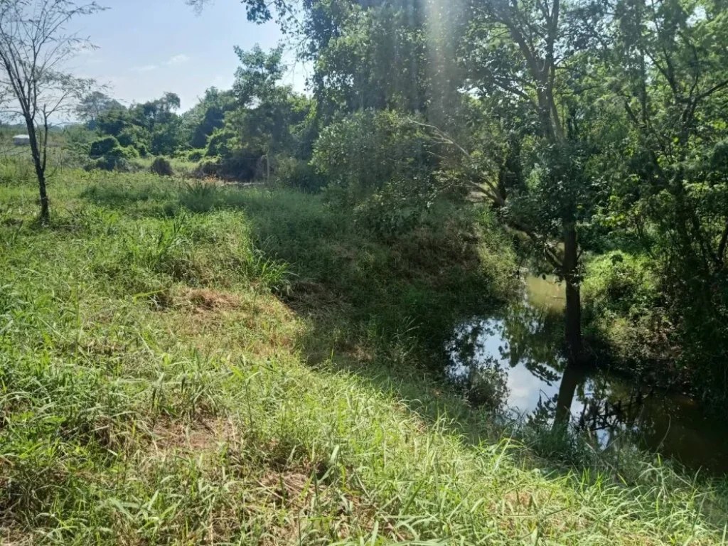 ขายถูกที่ริมน้ำ เขาใหญ่ ขนงพระ วอเตอร์วีล waterwheel