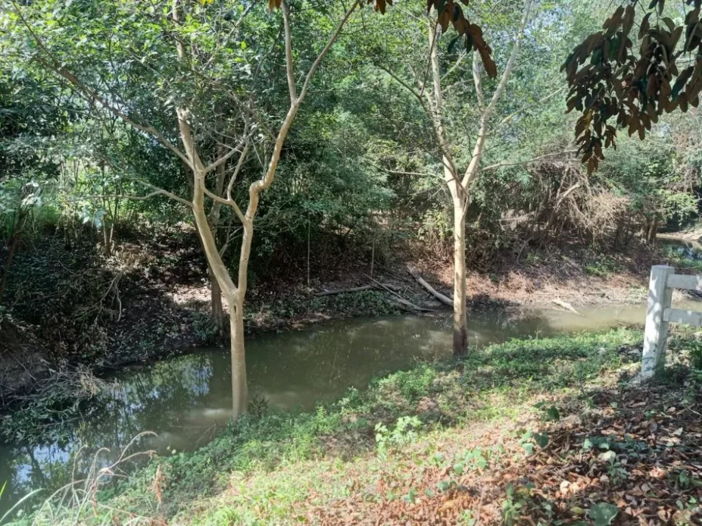 ขายถูกที่ริมน้ำ เขาใหญ่ ขนงพระ วอเตอร์วีล waterwheel