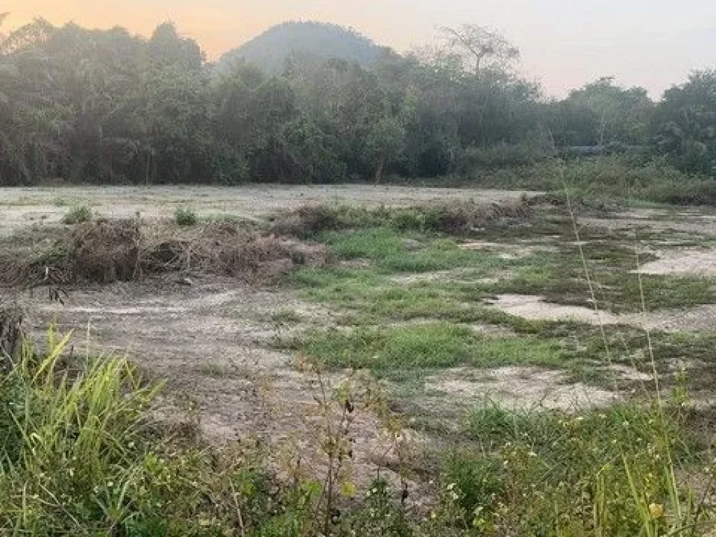 ที่ดินติดถนนหมายเลข3 ใกล้หาดสวนสน เมือง จระยอง 2 ไร่