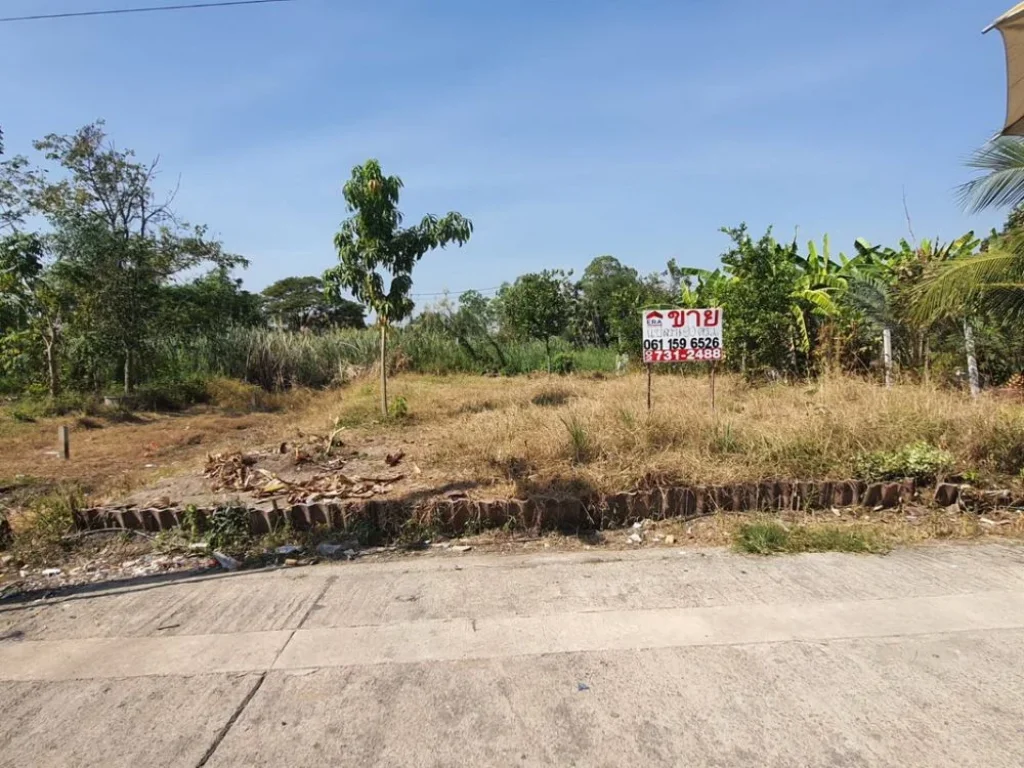 ขายที่ดิน หมู่บ้านเจริญทรัพย์ บางใหญ่ ถคลองถนน นนทบุรี