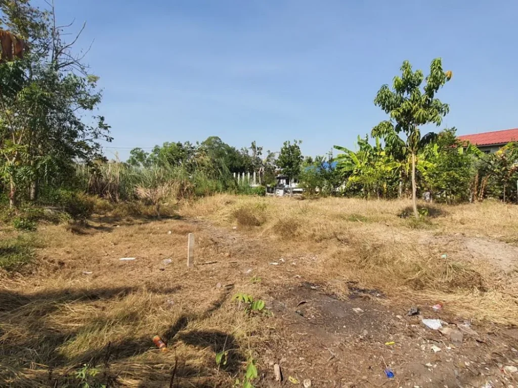 ขายที่ดิน หมู่บ้านเจริญทรัพย์ บางใหญ่ ถคลองถนน นนทบุรี