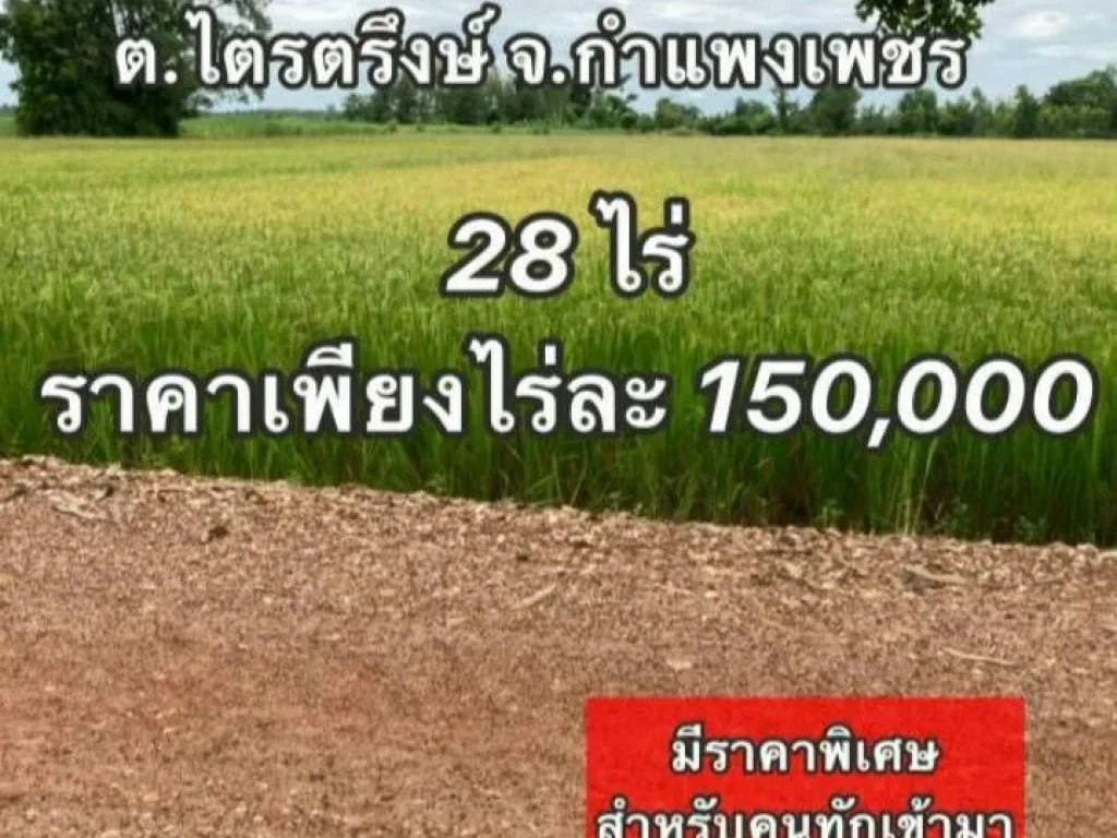 ที่ดินราคาถูก ติดทางสาธารณะ อำเภอเมืองกำแพงเพชร