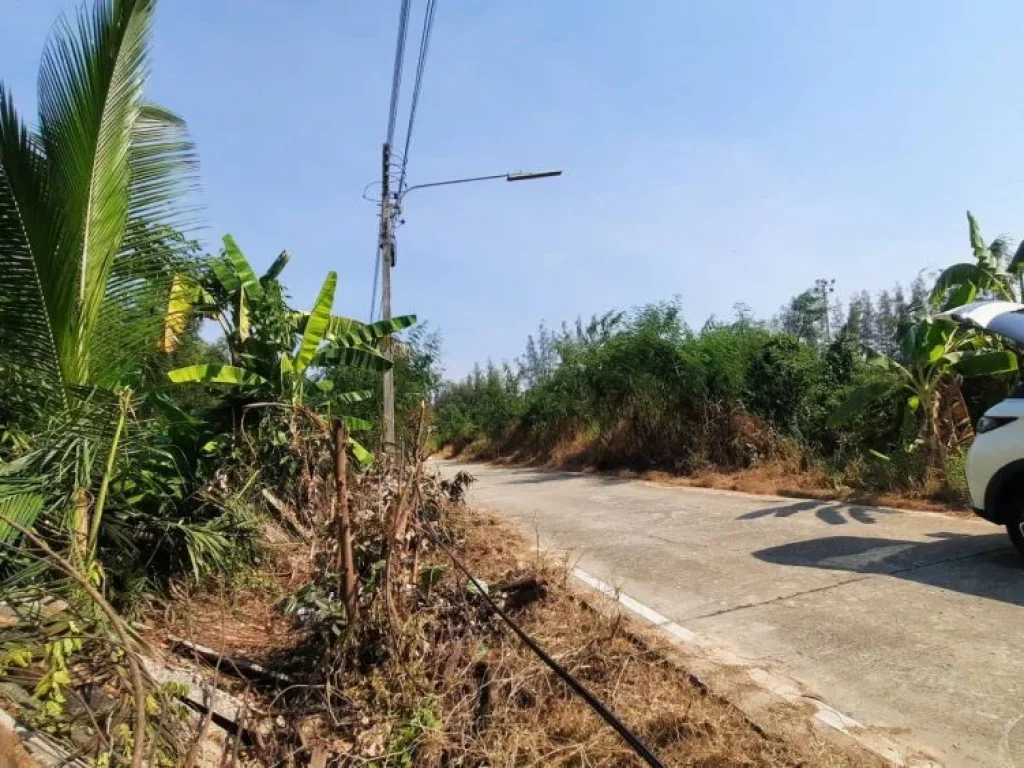 ขายที่ดิน 124 ตรว คลองสาม ติดวัดพระธรรมกาย