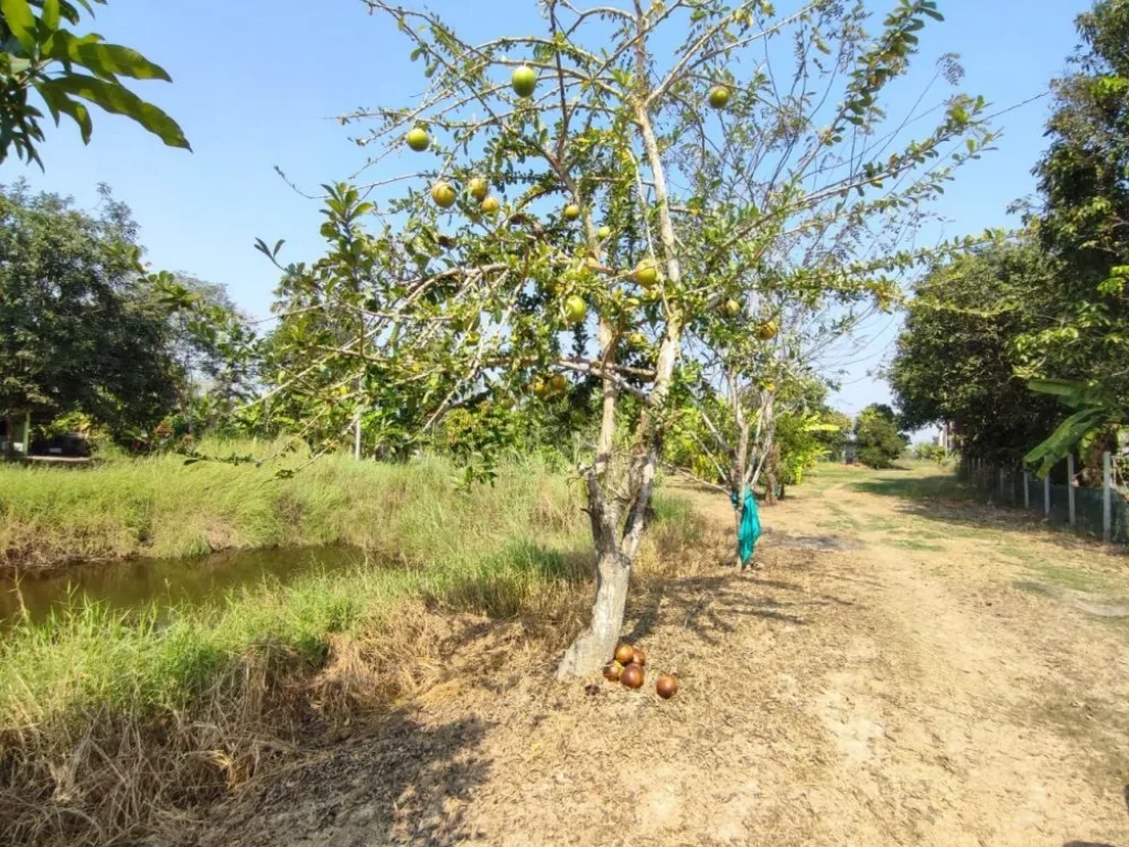 ขายที่ดินพร้อมบ้าน นครนายก ดงละคร ใกล้วัดมณีวงศ์