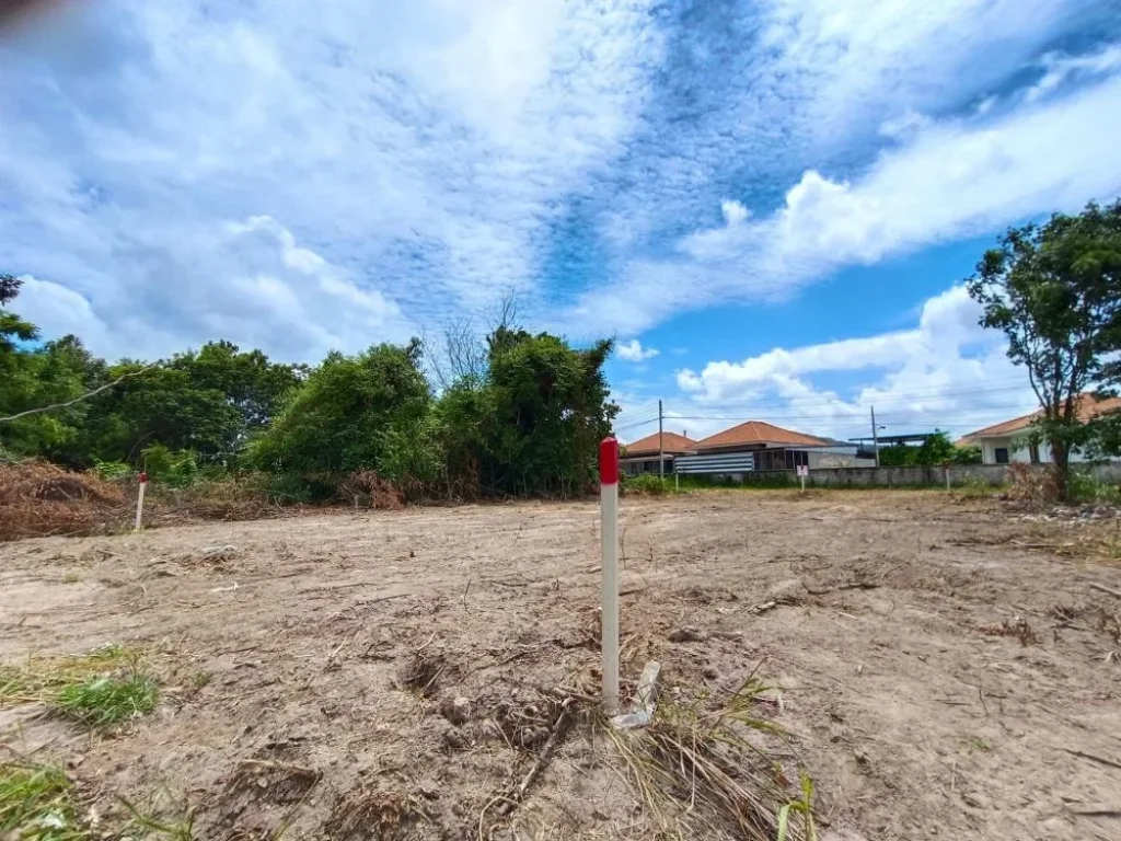 ขายที่ดินพลูตาหลวง สัตหีบ เนื้อที่ 125 ตรว บางเสร่ กม10