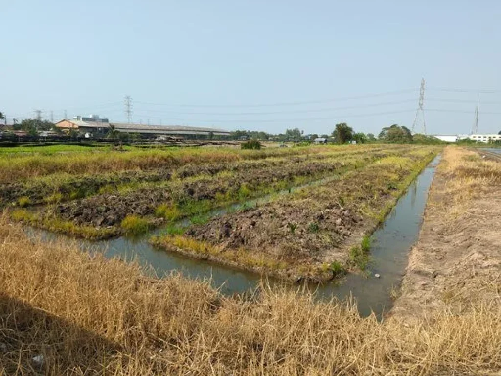 ขายที่ดินถมเเล้ว ติดถนนบางกรวยไทรน้อย เยื้องอบต ตรวละ