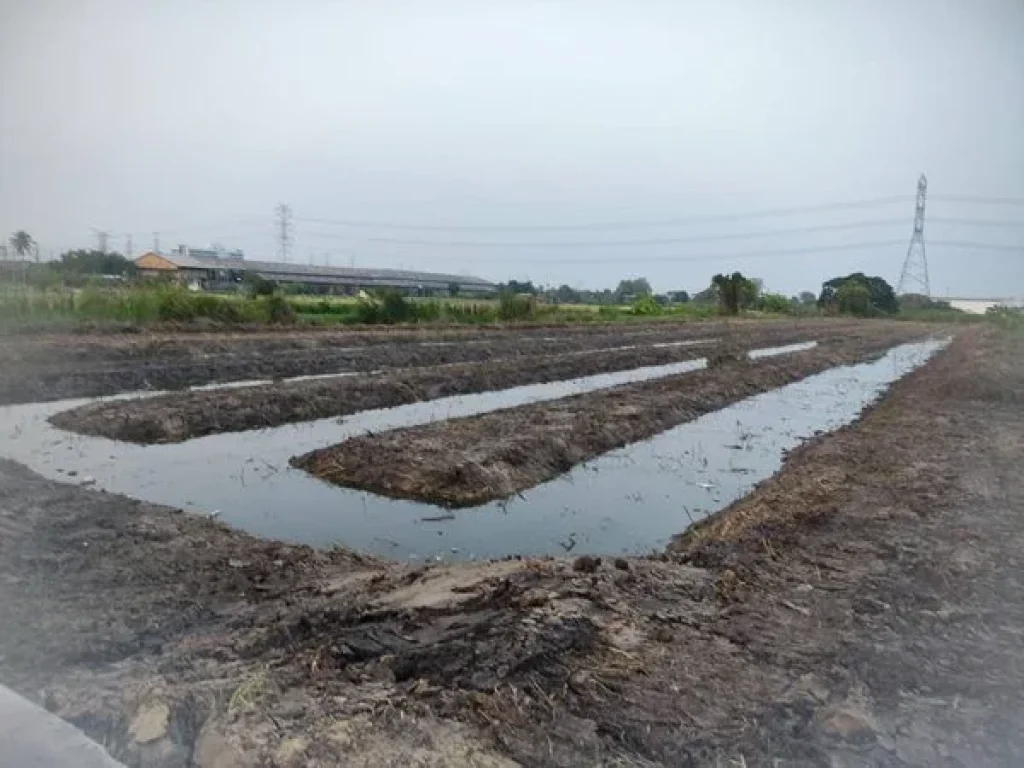 ขายที่ดินถมเเล้ว ติดถนนบางกรวยไทรน้อย เยื้องอบต ตรวละ