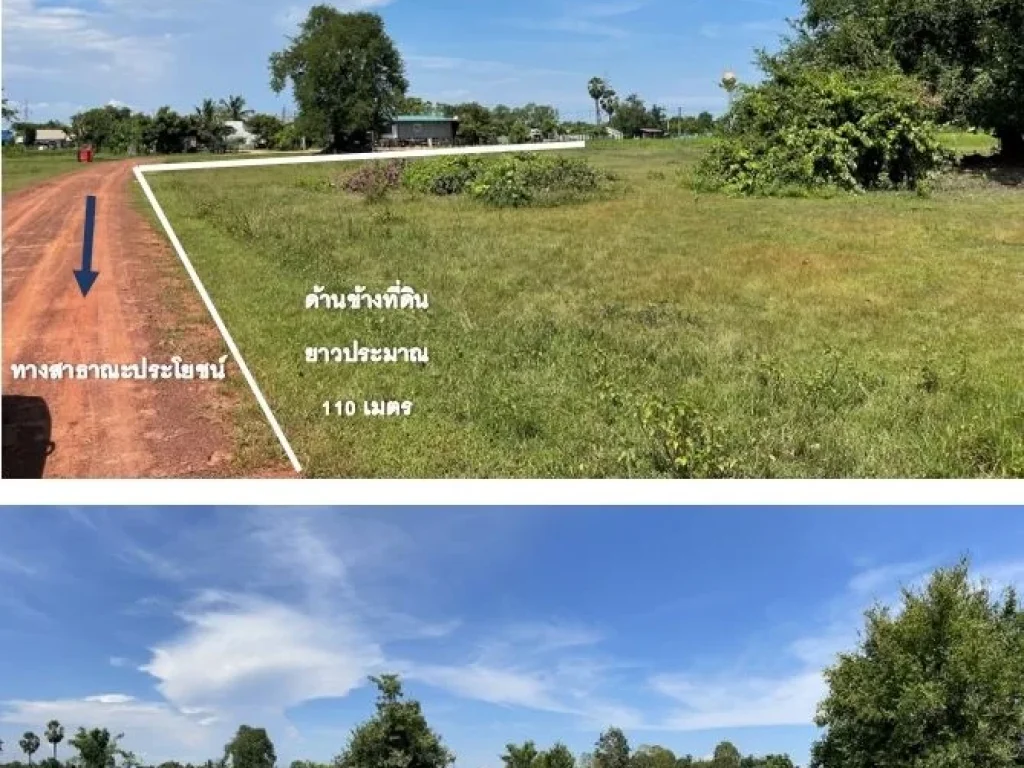 ขายที่ดิน ใกล้ถนนมิตรภาพ ไทย-ลาว หนองคาย พื้นที่ 4 ไร่ 1 งาน