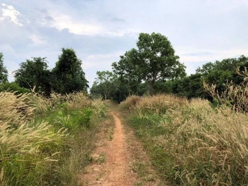 ขายที่ดินติดริมแม่น้ำเวฬุ 1000 ไร่ ใกล้ถนนสุขุมวิท จ ตราด