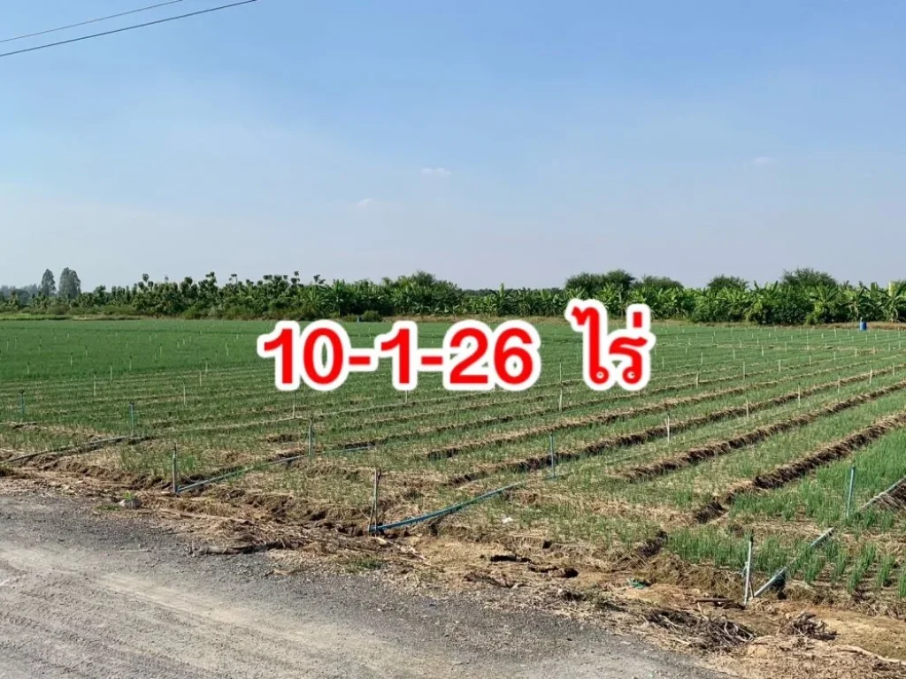 ขายที่ดินทำเลดี 10ไร่ ใกล้ถนนแสงชูโต แหล่งชุมชน