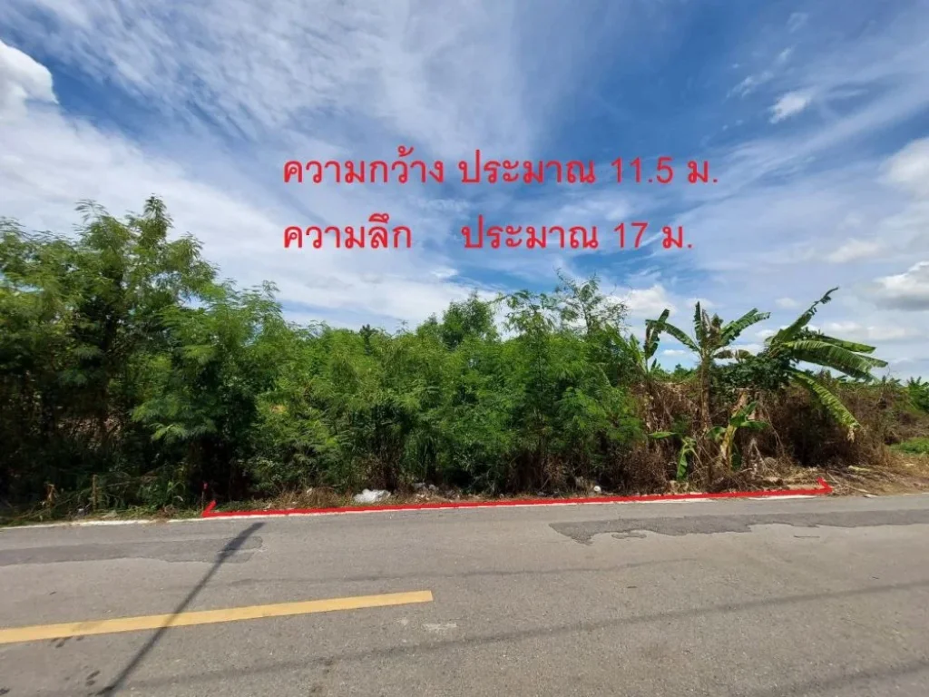 ขายที่ดินเปล่า 50 ตรวา ใกล้ มพฤกษา 4 ตมหาสวัสดิ์