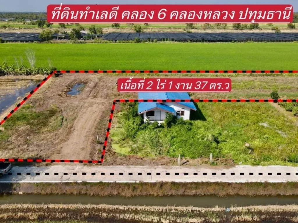 ขายที่ดินคลองหก 2 ไร่ ติดถนนคอนกรีต ใกล้อบตคลองหก - 900 เมตร