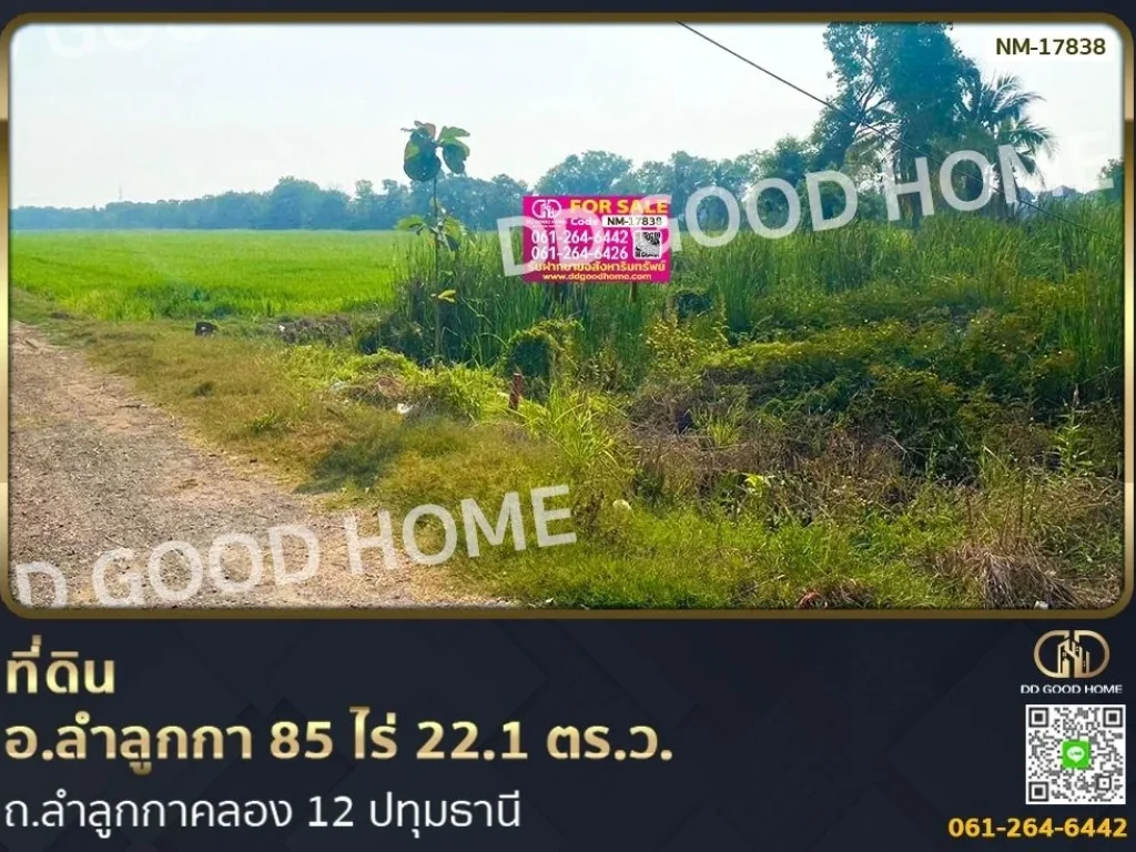 ที่ดิน อลำลูกกา 85 ไร่ 221 ตรว ถลำลูกกาคลอง 12 ปทุมธานี