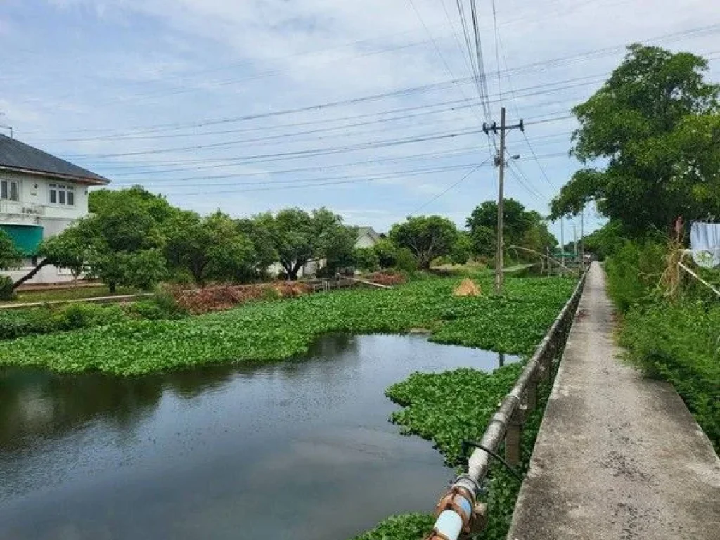 ขาย ที่ดิน เปล่า บางพลี เทพารักษ์ เข้าซอยหมู่บ้านรัชธานี 2