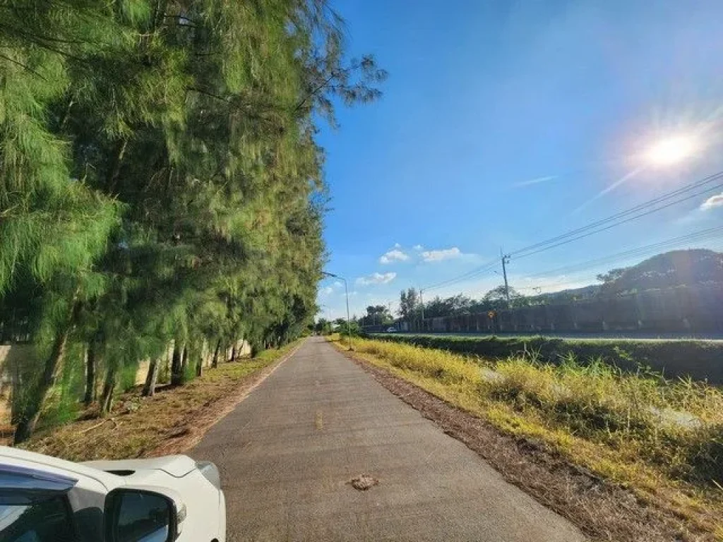 ขายที่ดิน แปลงสวย ถมแล้ว ติดวัดพระธรรมกาย ซคลองสาม 95