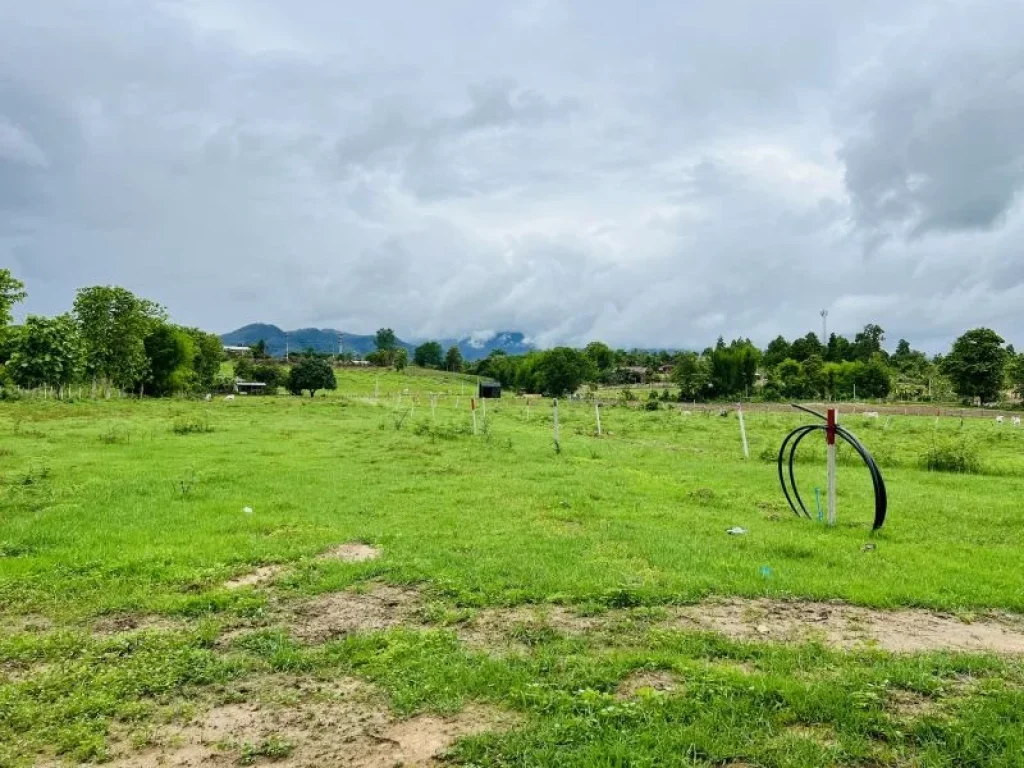 ขายที่ดินวิวสวย100 ตรว บรรยากาศดี ใกล้เมือง ปาย แม่ฮ่องสอน