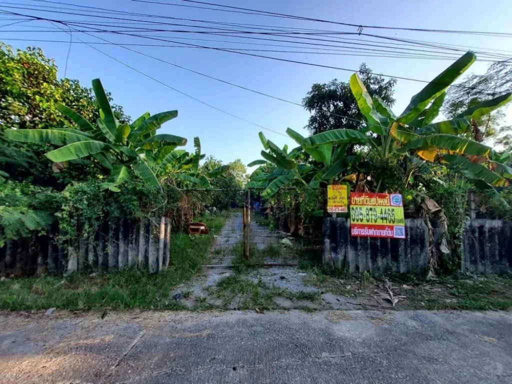 ขายถูกที่สุด ที่ดินลำลูกกา คลองแปด 2 ไร่ ติดถนนคอนกรีต