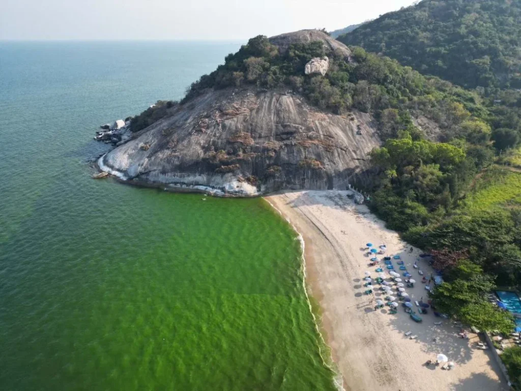 ที่ดิน ติดทะเล หาดทรายสวย น้ำทะเลใส ขนาด 1111 ไร่