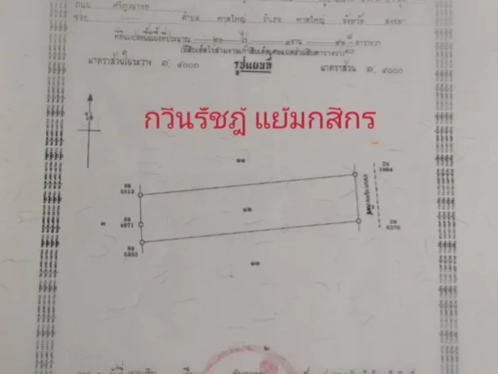 ขายที่ดินบ้านพรุติดถนนกาญจนวนิช43 ไร่ 318 ตารางวาขายไร่ละ