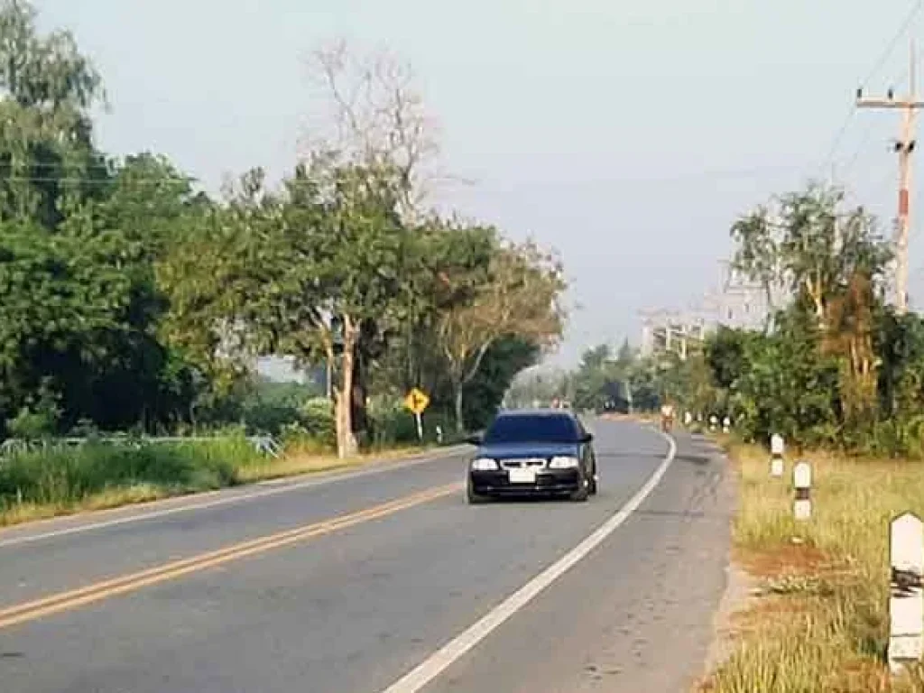 ขายที่สวนมะม่วงติดถนน วังน้ำซับ ศรีประจันต์ สุพรรณบุรี