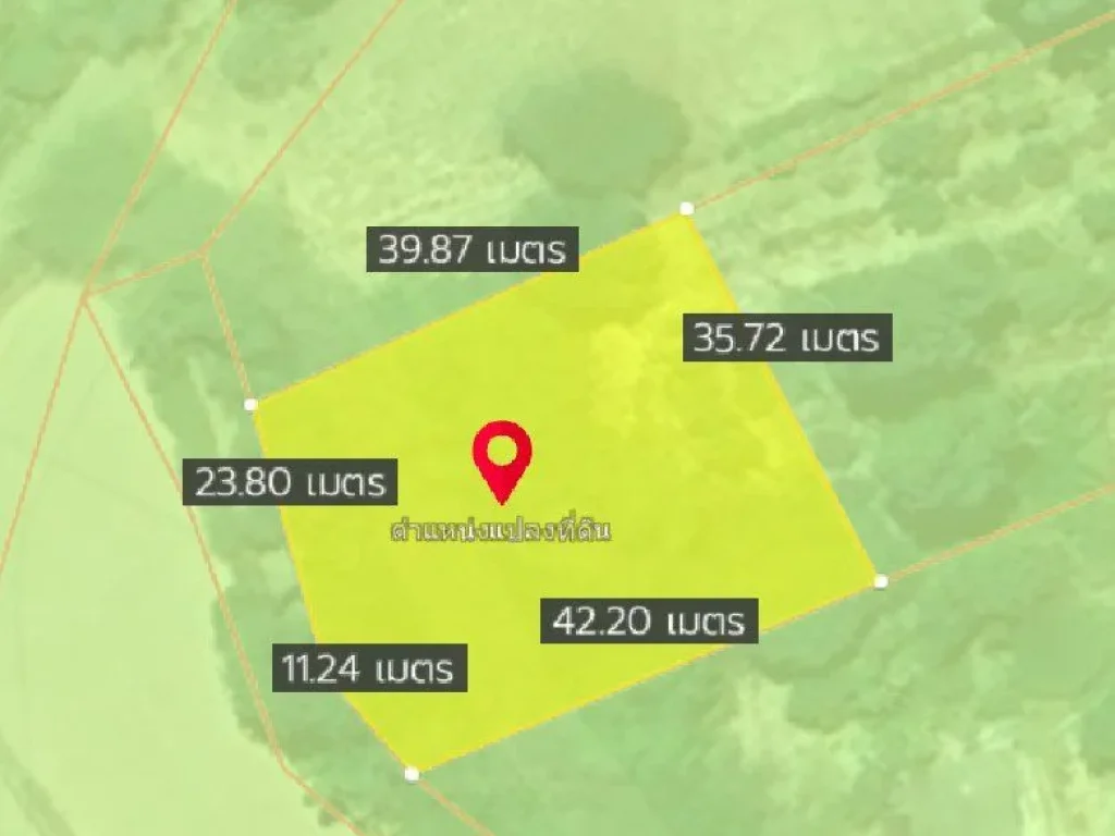 ขายที่ดินหนองยาว บ้านต้นตาล เนื้อที่ 265 ตรว