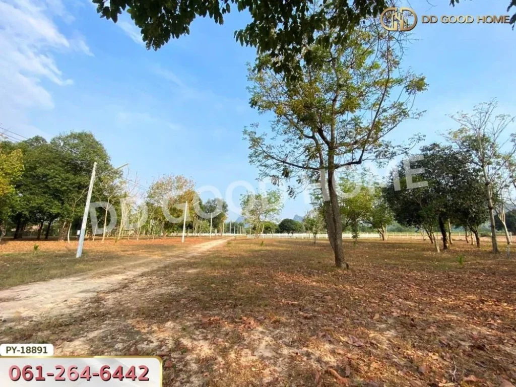 ที่ดิน อสัตหีบ 22 ไร่ ชลบุรี Land for sale Sattahip