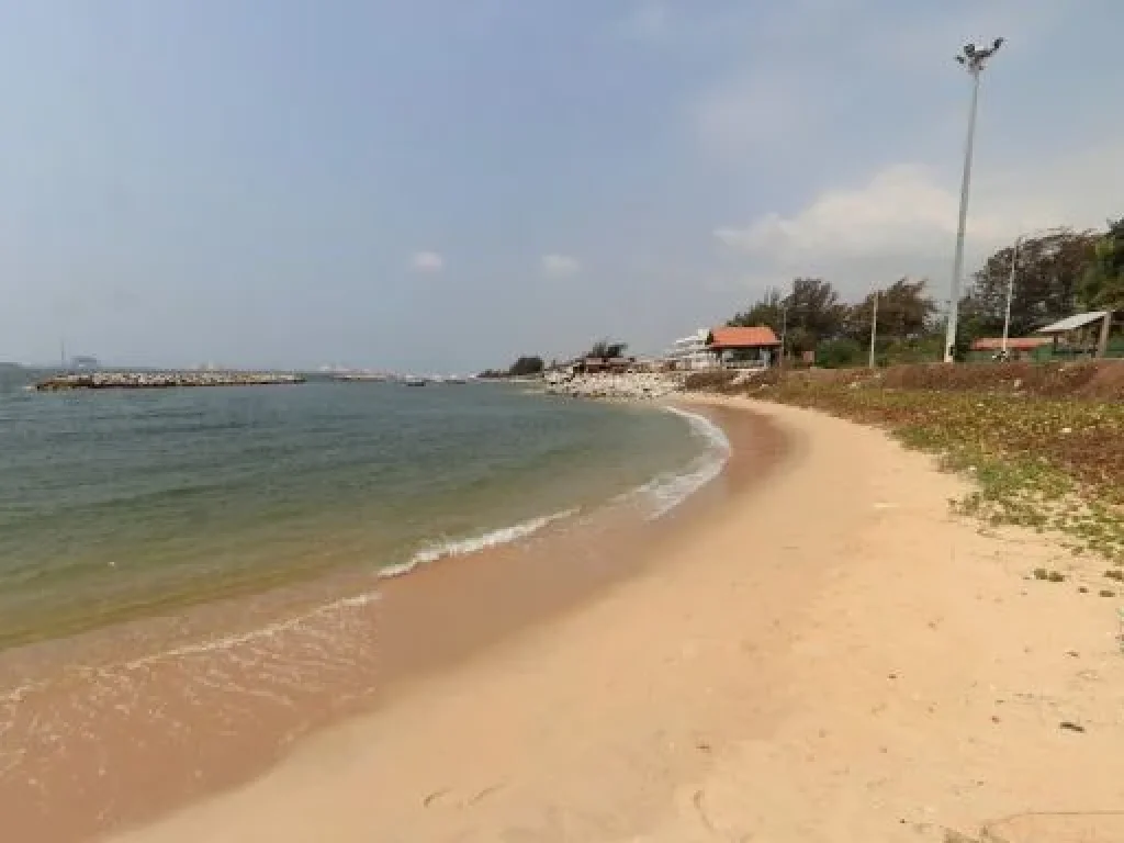 ขายที่ดิน ติดทะเลหาดสุชาดา ตำบลเนินพระ อำเภอเมืองระยอง