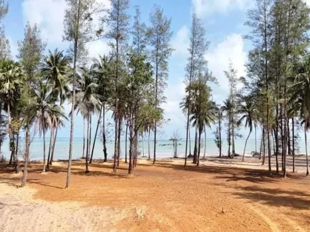 ที่ดินทำเลสวย ติดทะเล หาดทรายขาว ที่ อท่าชนะ