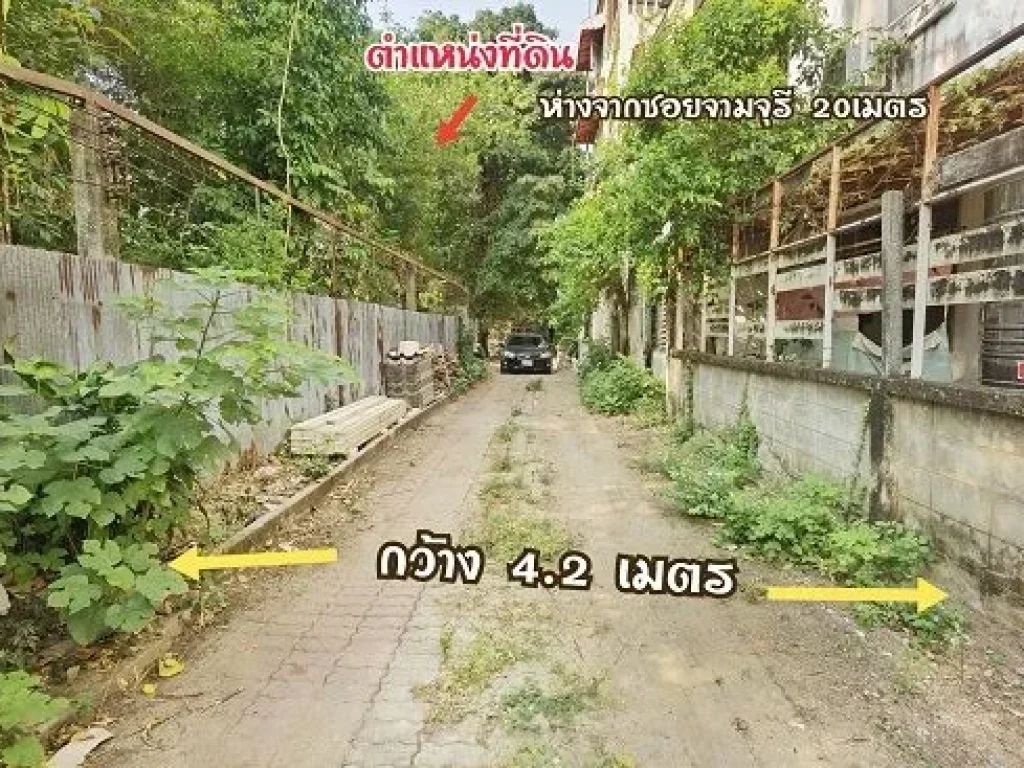 ขาย ที่ดิน พิบูลสงคราม 21 แยก 1 เนื้อที่ 1-0-59 ไร่ หรือ