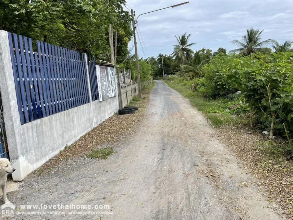 ขายที่ดินพร้อมบ้าน ลาดหลุมแก้ว ตระแหง ปทุมธานี พื้นที่ 1 ไร่