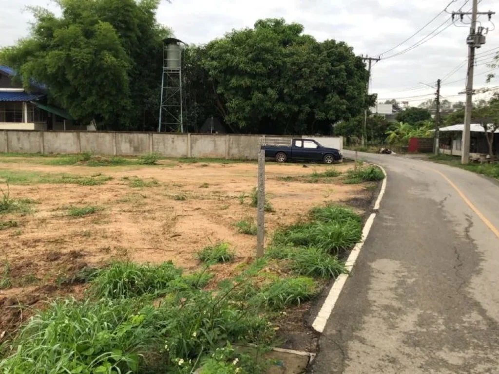 ขายที่ดินติดถนนลาดยางค้าขายได้หนองผึ้งสารภีโฉนดพร้อมโอน