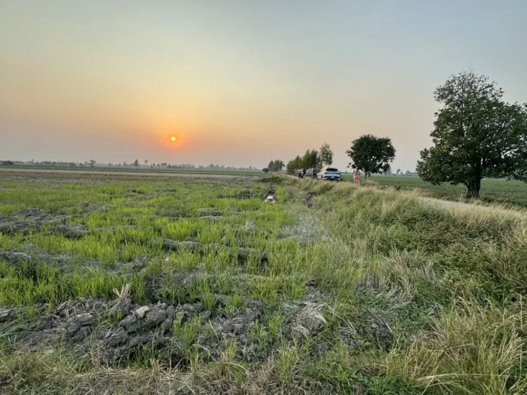 ขายที่ดิน 10ไร่ ตสีบัวทอง อแสวงหา จอ่างทอง