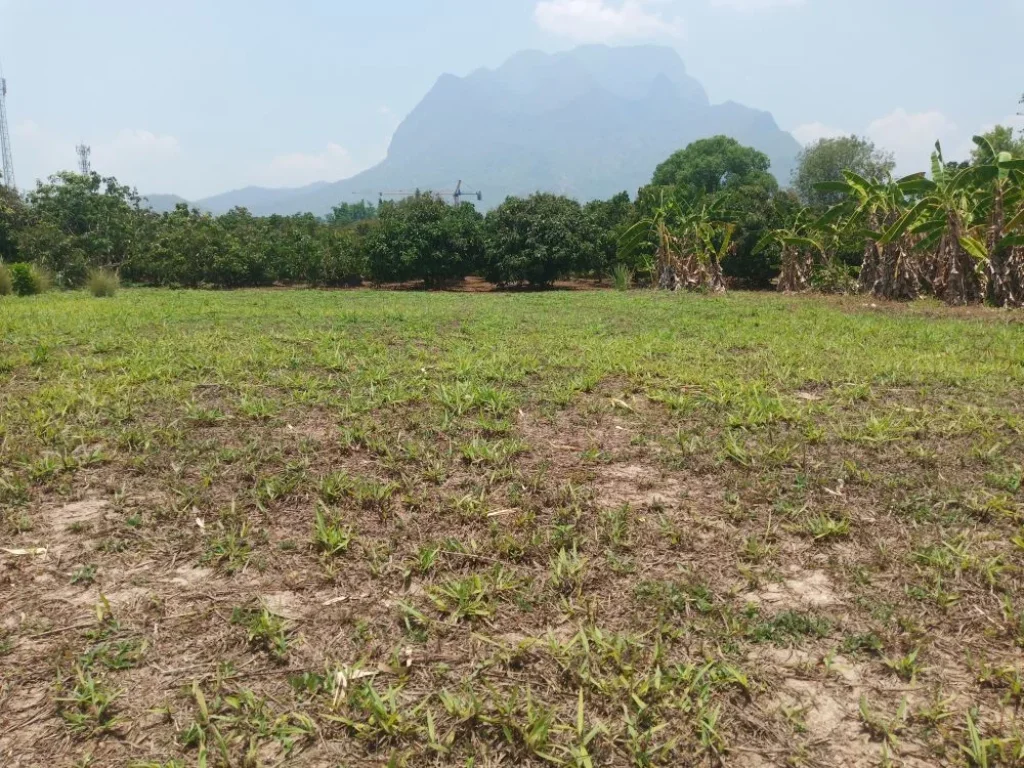 บ้านพร้อมที่สวนและบ้านพักรับรองทำเลดีเงียบสงบ