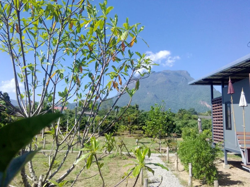 บ้านพร้อมที่สวนและบ้านพักรับรองทำเลดีเงียบสงบ