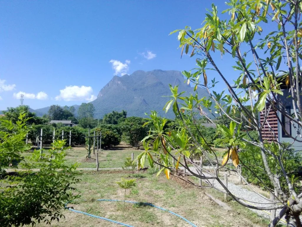 บ้านพร้อมที่สวนและบ้านพักรับรองทำเลดีเงียบสงบ