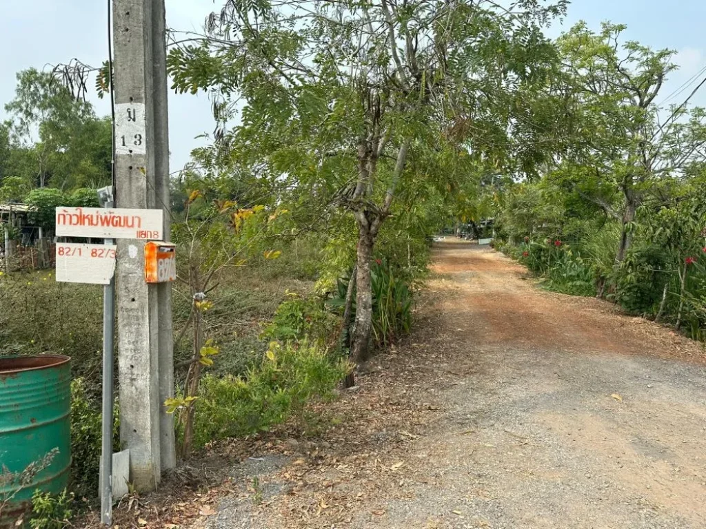 ขายถูกมาก ที่ดินประชาสำราญ 2 แยก 8 พื้นที่ 49 ตรว