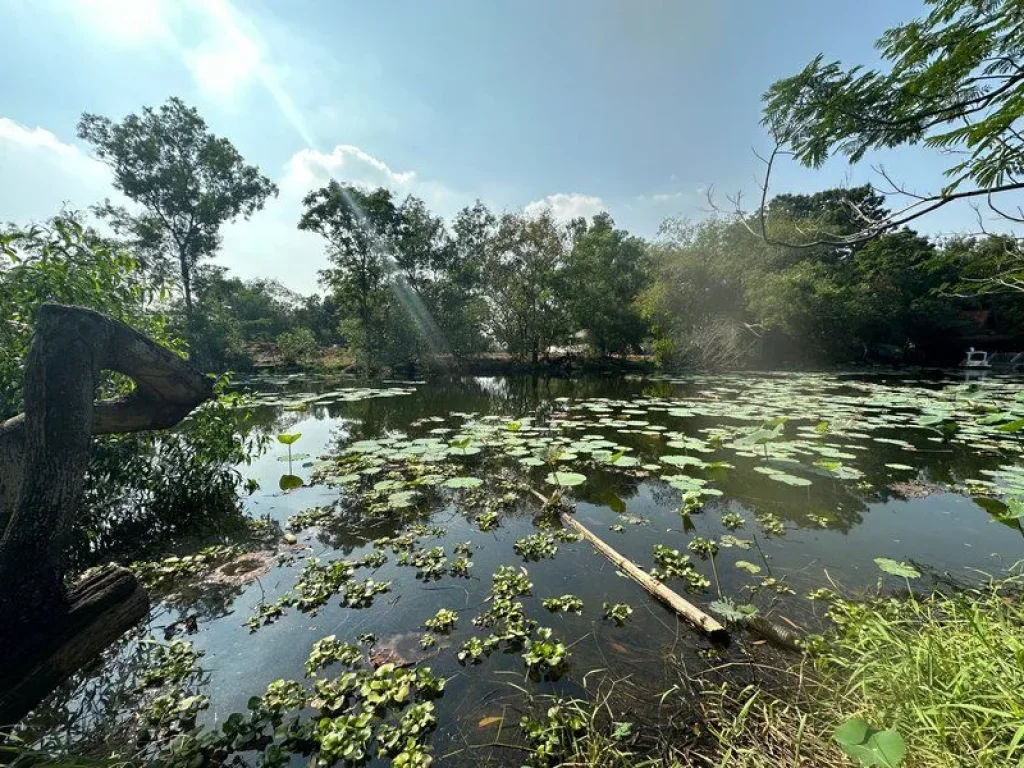 ขาย ที่ดิน ติดริมคลอง นาวิน ปาร์ค คลองหลวง ปทุมธานี