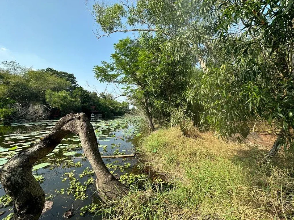 ขาย ที่ดิน ติดริมคลอง นาวิน ปาร์ค คลองหลวง ปทุมธานี