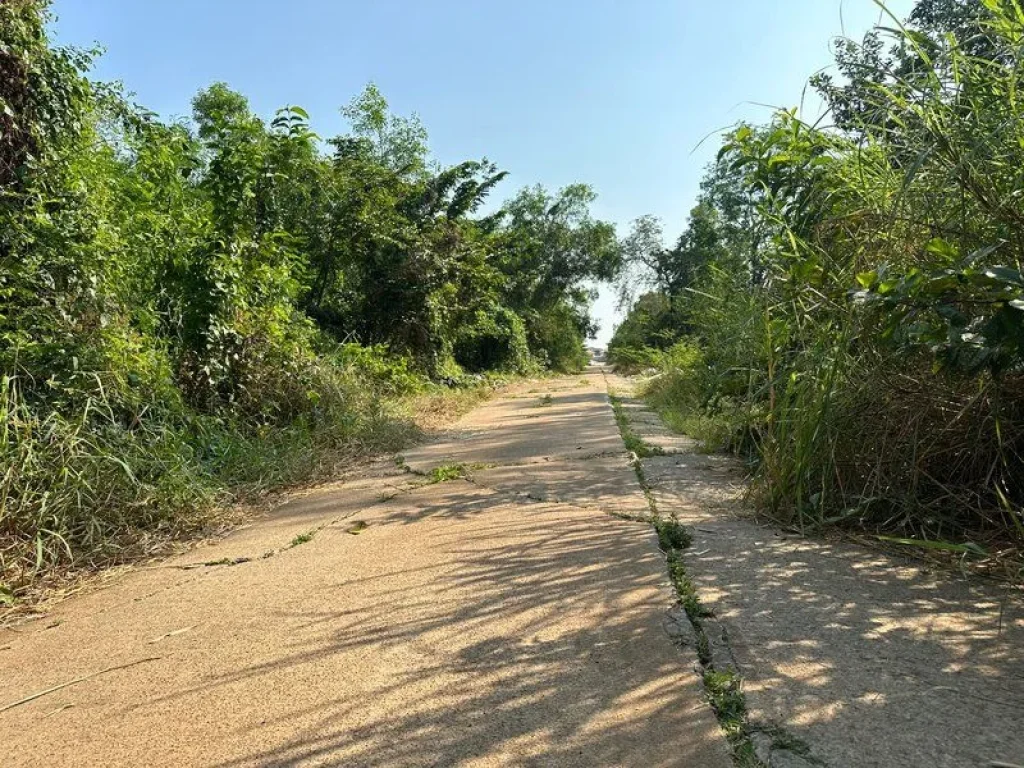 ขาย ที่ดิน ติดริมคลอง นาวิน ปาร์ค คลองหลวง ปทุมธานี