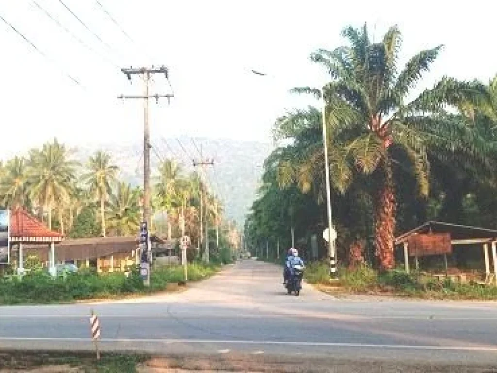 ขายที่ดินสวนปามล์ 22 ไร่ บ้านหาดพันไกร ติดถนนสาธารณะทั้ง 2