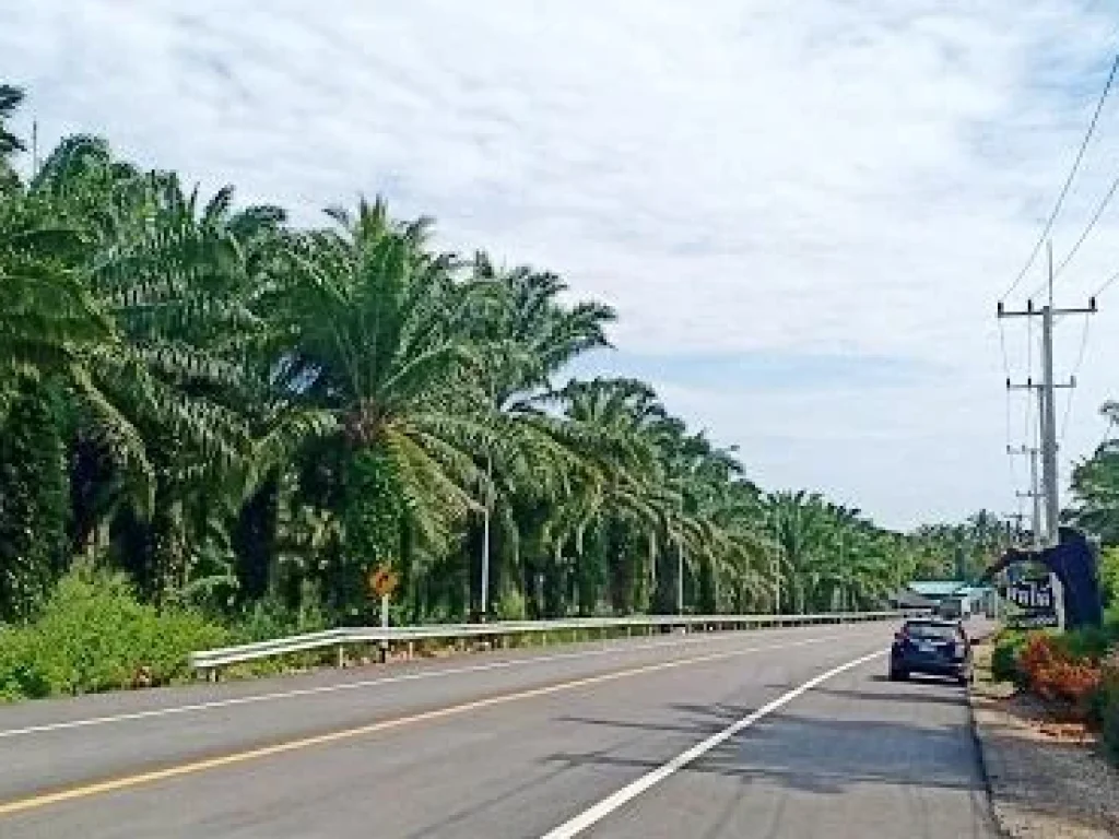 ขายที่ดินสวนปามล์ 22 ไร่ บ้านหาดพันไกร ติดถนนสาธารณะทั้ง 2