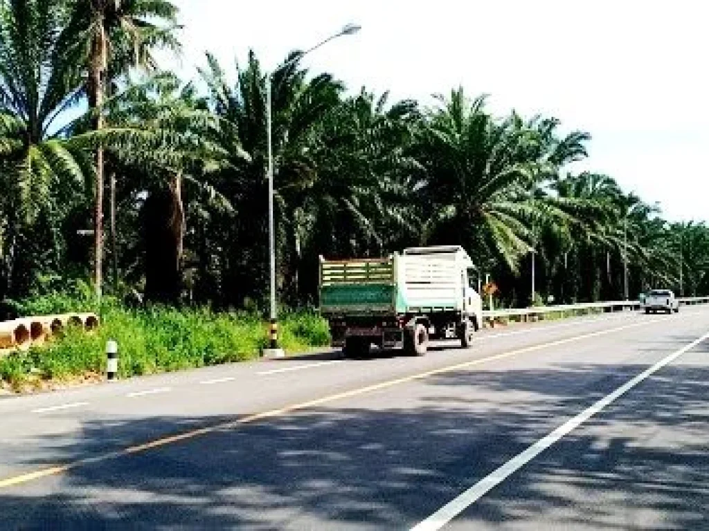 ขายที่ดินสวนปามล์ 22 ไร่ บ้านหาดพันไกร ติดถนนสาธารณะทั้ง 2