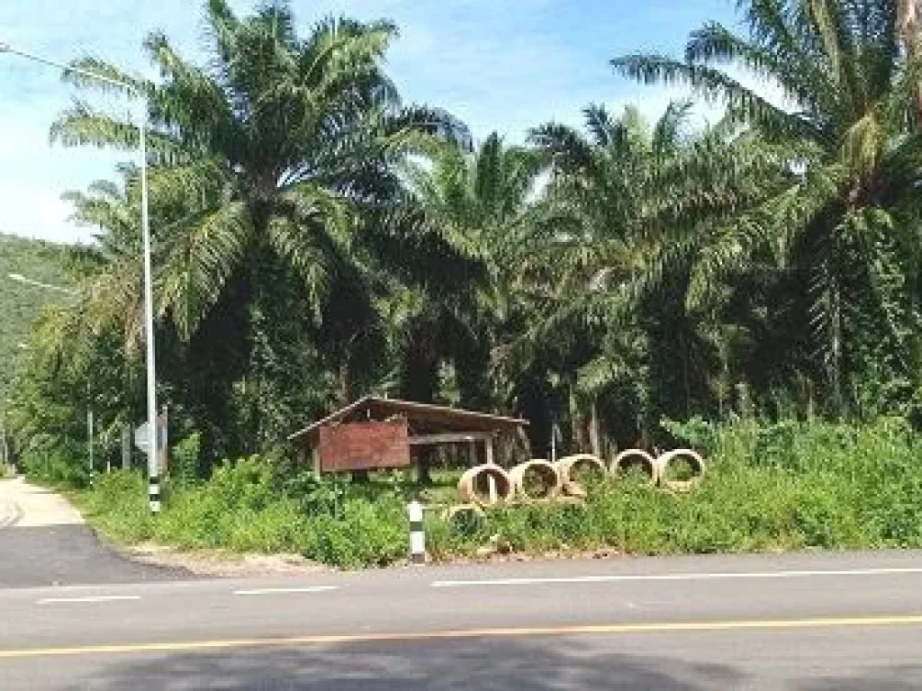 ขายที่ดินสวนปามล์ 22 ไร่ บ้านหาดพันไกร ติดถนนสาธารณะทั้ง 2