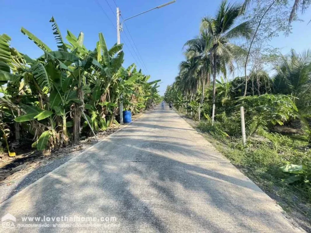 ขายที่ดินพร้อมสวนมะพร้าว ตบางยาง อกระทุ่มแบน สมุทรสาคร