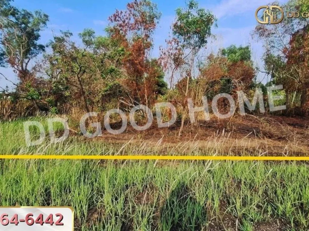 ที่ดิน เขต หนองจอก 335 ตรว กรุงเทพฯ ที่ดินจัดสรร